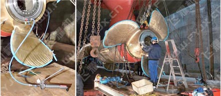 FY-LN��Һ����ĸ���ڴ������b